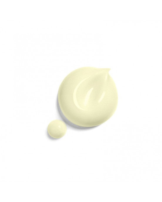 Radiant Dark Spot Recovery Set